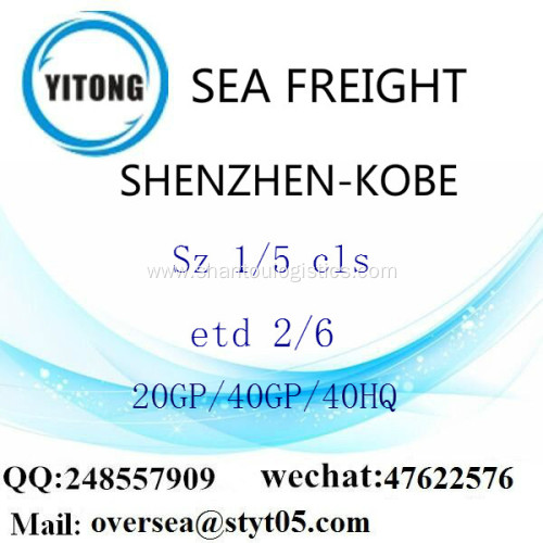 Shenzhen Port Sea Freight Shipping To Kobe